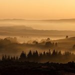 uploaded-image-araba-alirken-dikkat-edilmesi-gerekenler-1699700748587