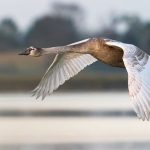 uploaded-image-kulp-gezilecek-yerler-1699700454344