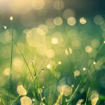 uploaded-image-pirlanta-sertifikasi-ne-ise-yarar-1699700622420