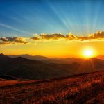 uploaded-image-uc-maymunun-hikayesi-1699700470727