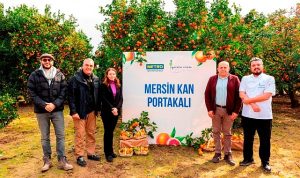 metro-turkiye-cografi-isaret-tesciline-aday-mersin-kan-portakalinin-izinde-3bIgKPLZ.jpg