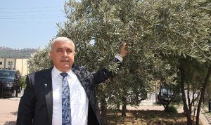 sofralik-zeytin-ihracati-doviz-bazinda-yuzde-52-artti-HF8k6pj3.jpg