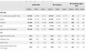 tuik-mevsim-etkisinden-arindirilmis-issizlik-orani-88-seviyesinde-gerceklesti-2wTR3SZ8.jpg