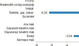 yurt-ici-uretici-fiyat-endeksi-ocak-2024-3OagJNYs.jpg
