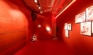tam-mat-renkler-nippon-paintin-yeni-serisi-deepmattta-p2b72MrP.jpg