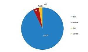 tuik-cig-sut-uretimi-2023-yilinda-04-azalarak-21-milyon-481-bin-567-ton-BUF9f3ig.jpg