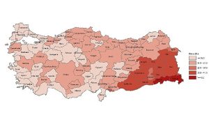 tuik-yuksekogretim-mezunlarinin-orani-25-yas-ve-uzeri-nufusta-246-oldu-XrVUpVm7.jpg