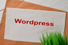 wordpress ajansı (11)