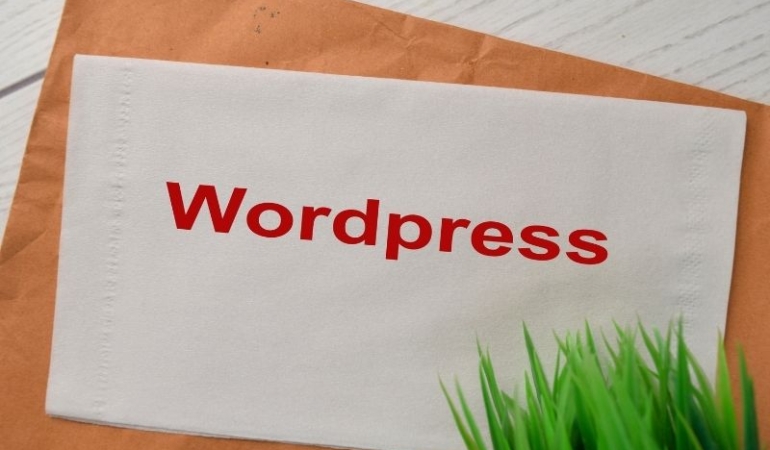 Profesyonel WordPress Çözümleri: Ajans, Uzman ve Hizmetler