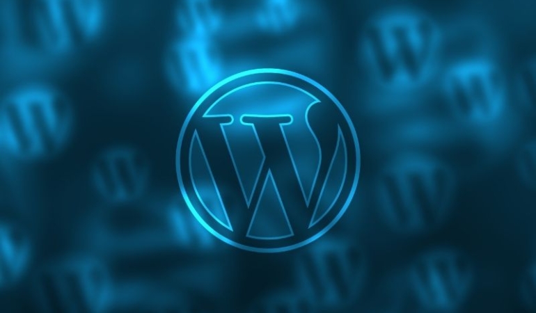 WordPress Uzmanı Olmanın Önemi