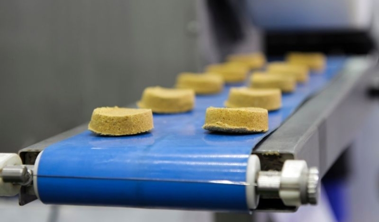 Endüstriyel Taşıma Sistemlerinde Konveyör Bantların Önemi