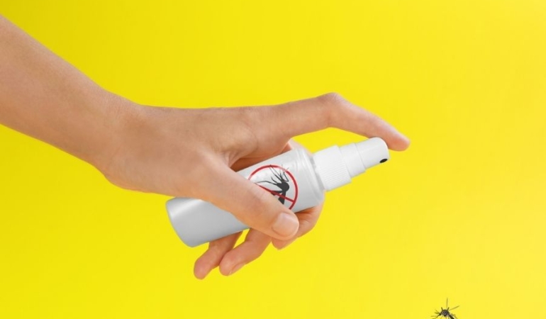 Yaz Aylarında Sineklerden Korunmanın En Etkili Yolları