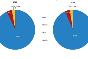 cig-sut-uretim-istatistikleri-2024.jpg