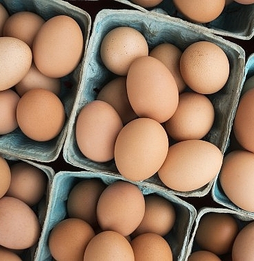 dfif-kesintisi-kalkti-yumurta-ihracatcisi-rahatladi.jpg