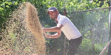 korkuteli-yesiloba-yaylasinda-bugday-hasadi-basladi.jpg