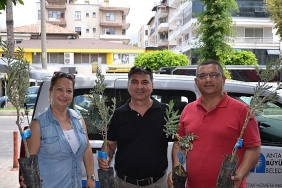 buyuksehirden-ureticiye-zeytin-fidani-destegi.jpg