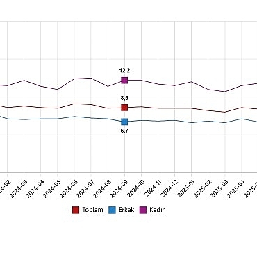 isgucu-istatistikleri-eylul-2025.jpg
