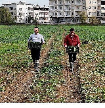 osmangazi-belediyesi-dogal-uretimle-sofralara-saglik-sunuyor.jpg