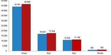 hayvansal-uretim-istatistikleri-2025.jpg