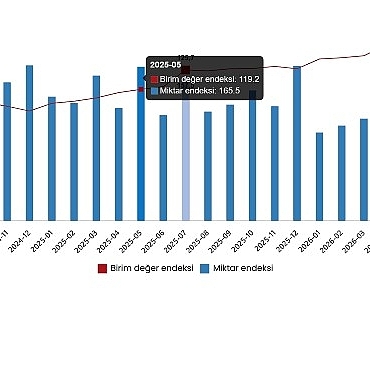 Dış Ticaret Endeksleri, Temmuz 2026
