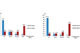 Girişim Özelliklerine Göre Dış Ticaret İstatistikleri, 2025