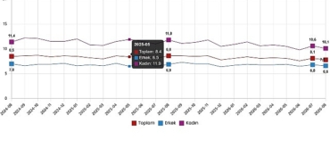 İşgücü İstatistikleri, Ağustos 2026