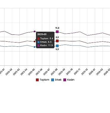 İşgücü İstatistikleri, Ağustos 2026