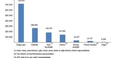 Hanehalkı Nihai Enerji Tüketim İstatistikleri, 2025