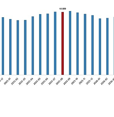 Ücretli Çalışan İstatistikleri, Ağustos 2026